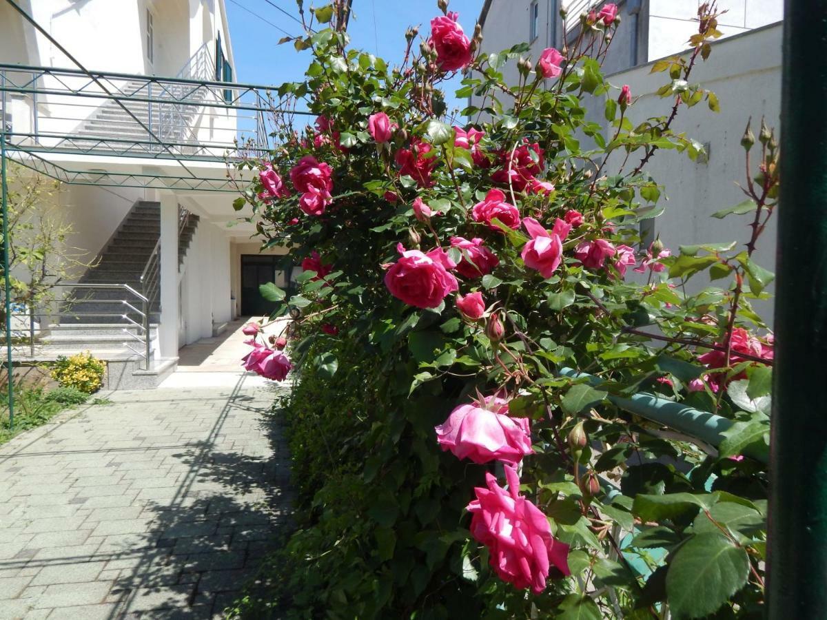 Lemon Tree Apartments Задар Экстерьер фото