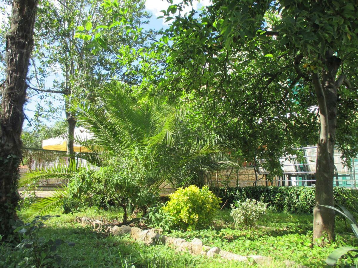 Lemon Tree Apartments Задар Экстерьер фото